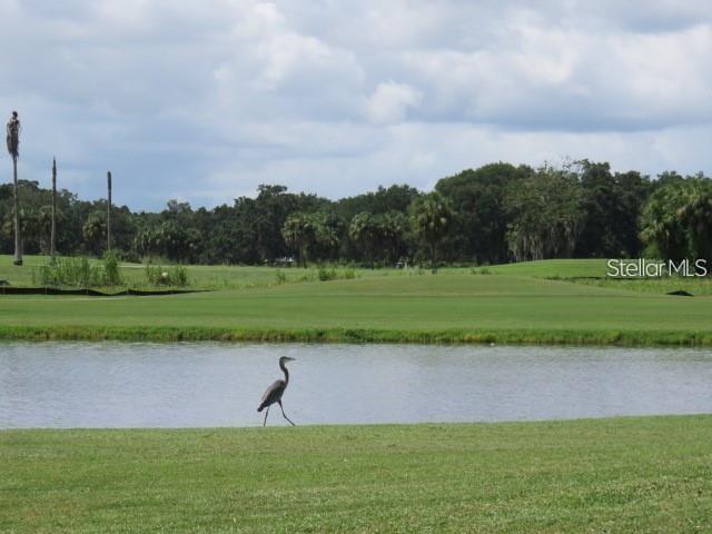 2320 TERRA CEIA BAY BLVD #204, PALMETTO, FL, 34221