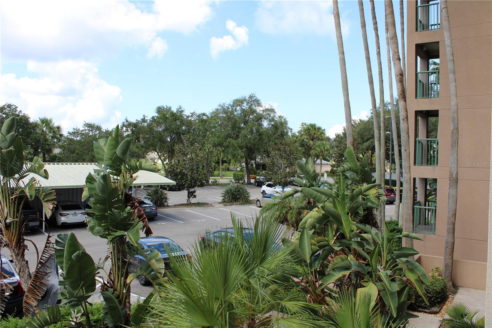 2320 TERRA CEIA BAY BLVD #204, PALMETTO, FL, 34221