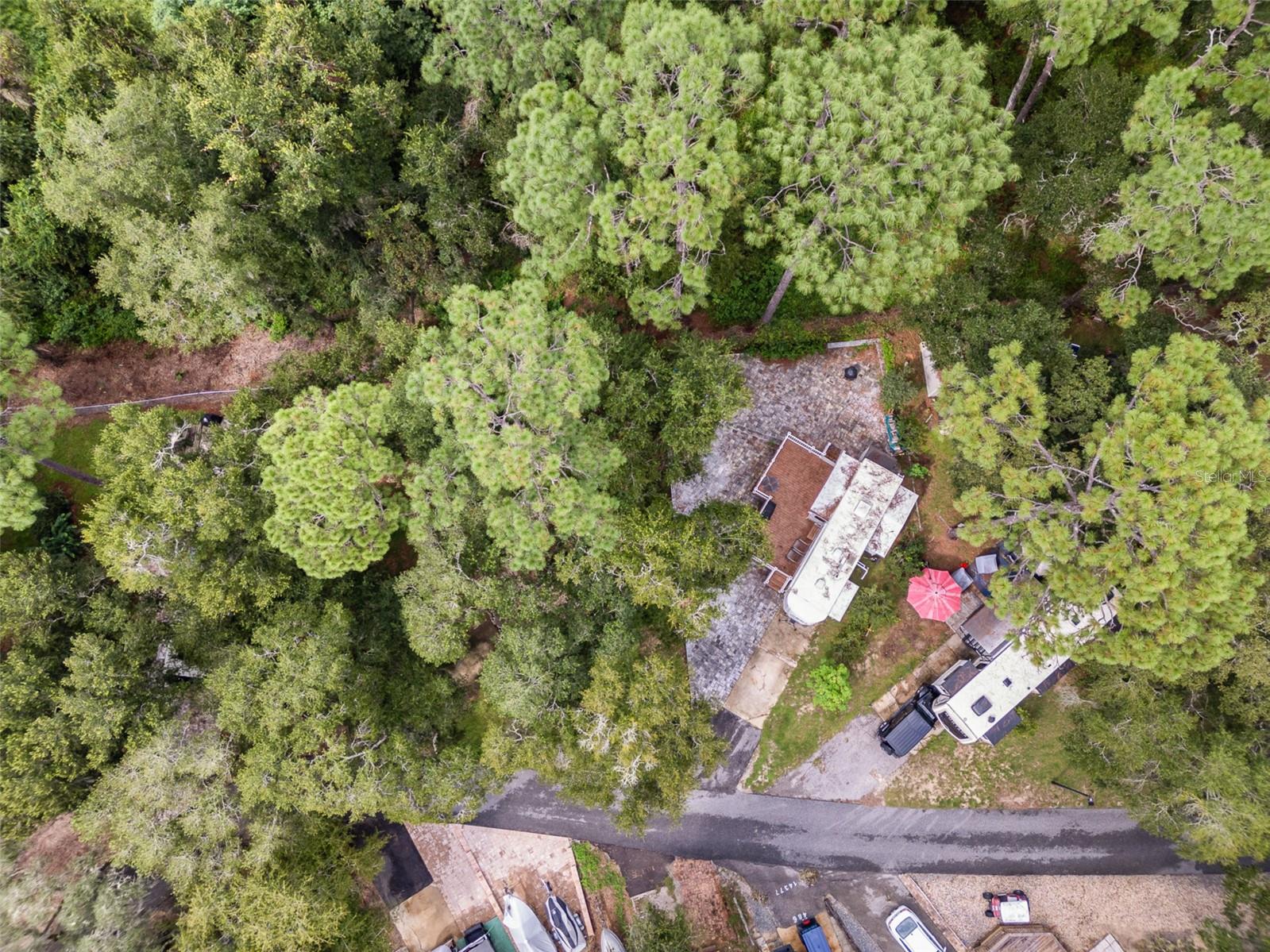 14374 251ST CIR NE, FORT MC COY, FL, 32134