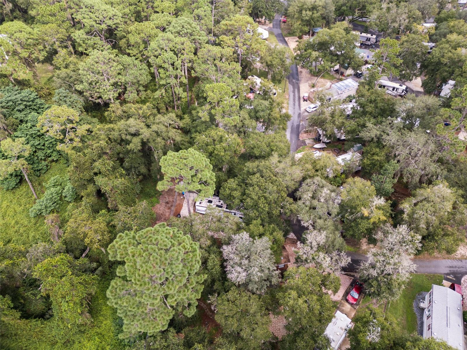 14374 251ST CIR NE, FORT MC COY, FL, 32134