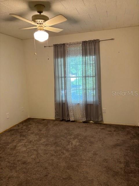 6305 MISTY TER #6305, TAMPA, FL, 33617