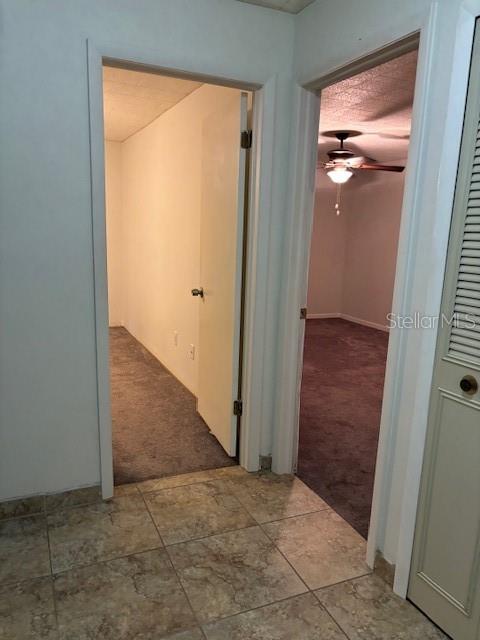 6305 MISTY TER #6305, TAMPA, FL, 33617