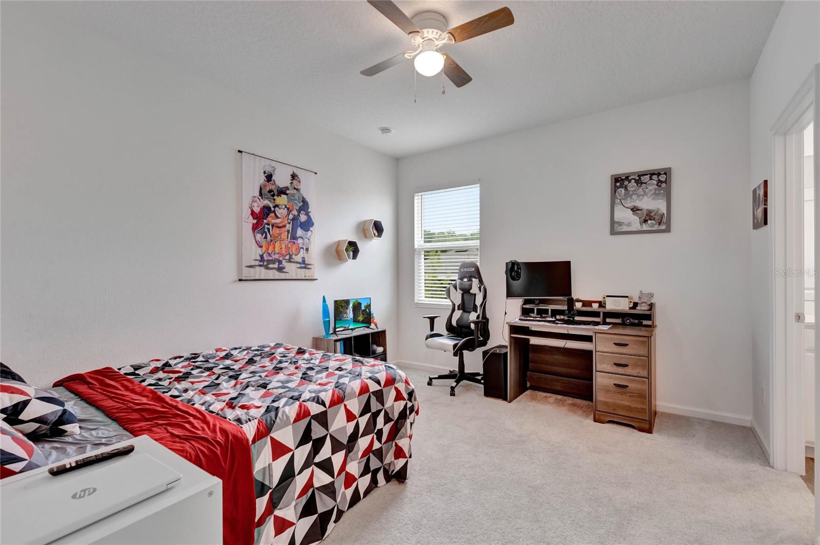 2527 NATOMA BLVD, MOUNT DORA, FL, 32757