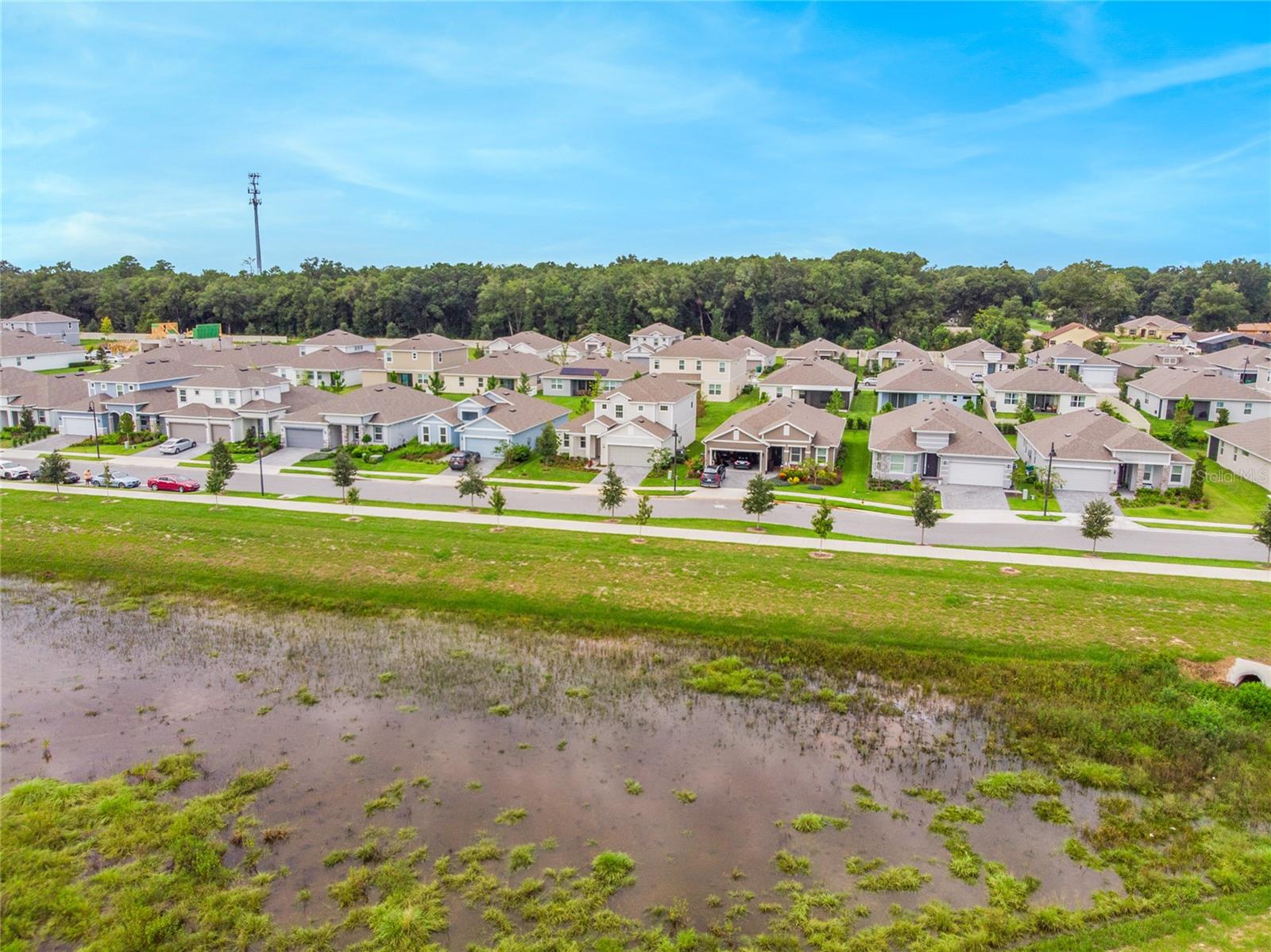 2527 NATOMA BLVD, MOUNT DORA, FL, 32757