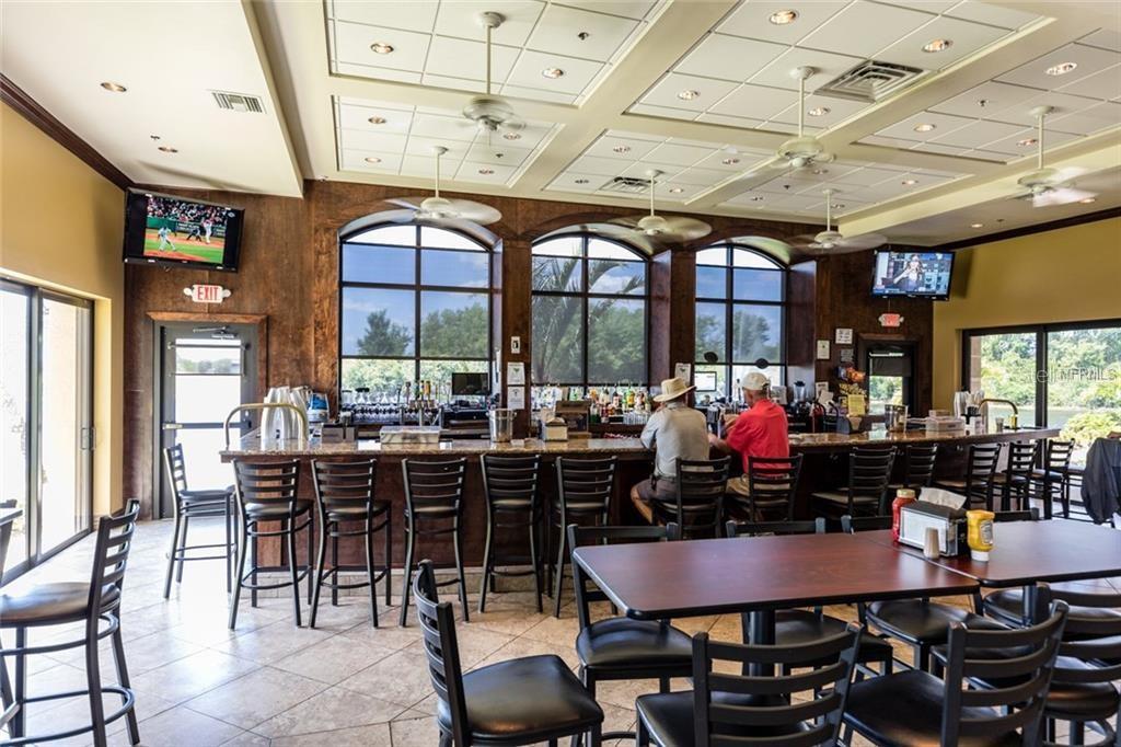 705 TREMONT GREENS LN #33, SUN CITY CENTER, FL, 33573