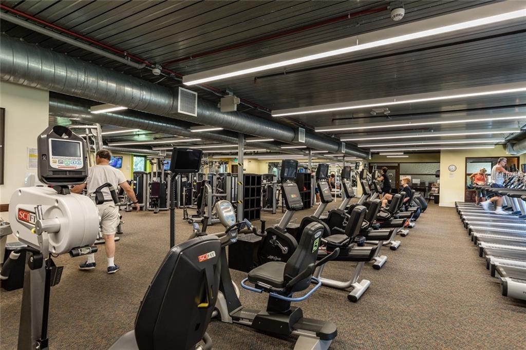 705 TREMONT GREENS LN #33, SUN CITY CENTER, FL, 33573