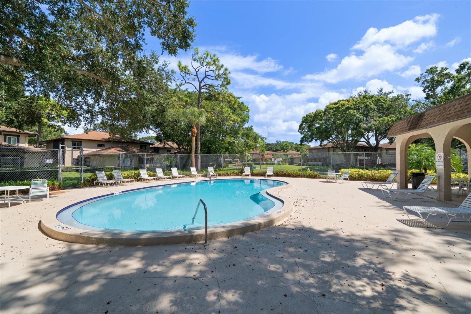 2935 LICHEN LN #C, CLEARWATER, FL, 33760