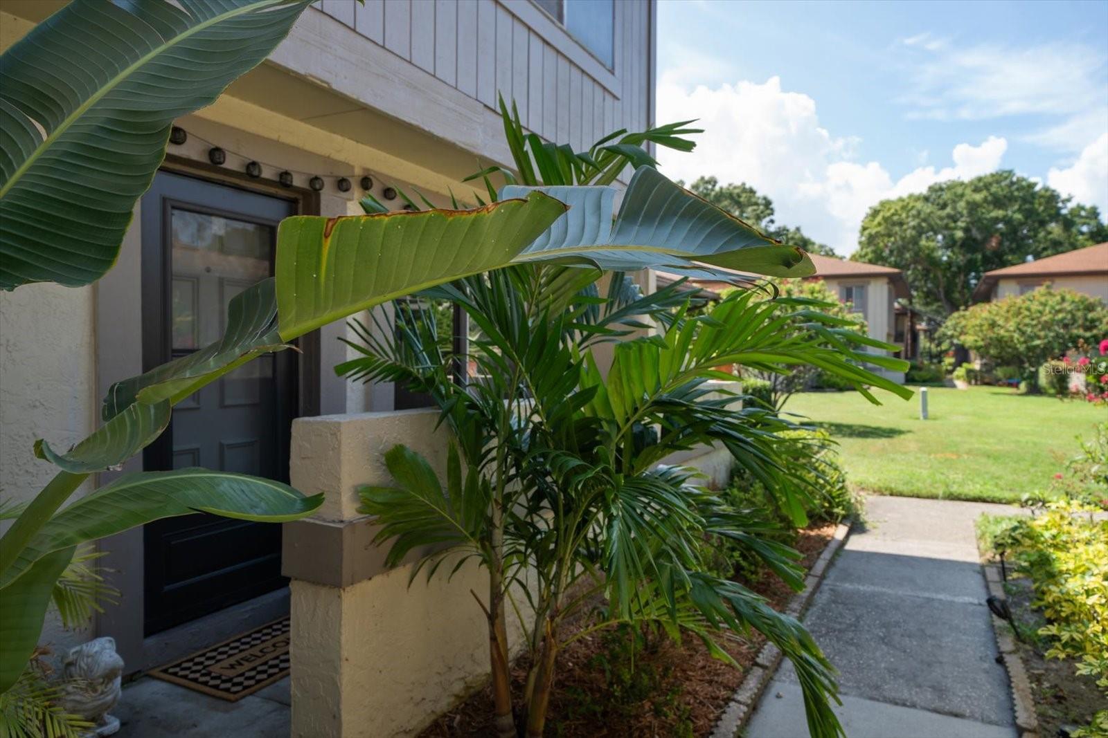 2935 LICHEN LN #C, CLEARWATER, FL, 33760