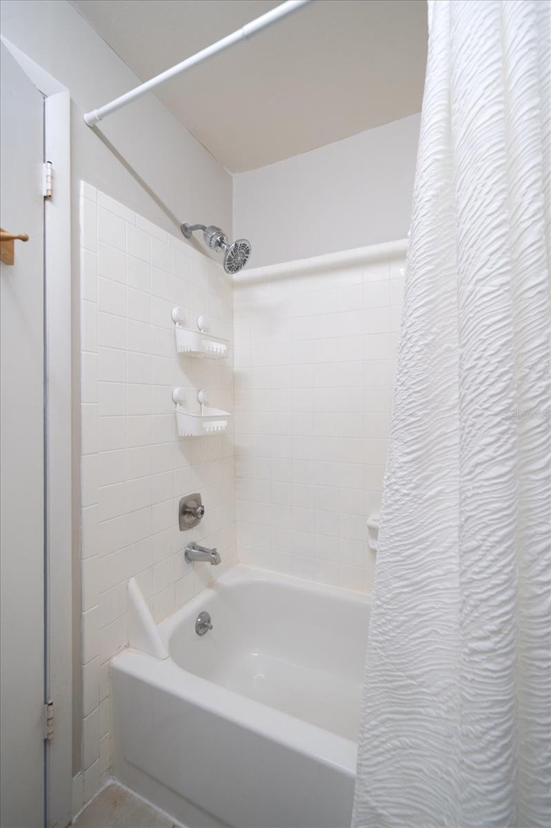 2935 LICHEN LN #C, CLEARWATER, FL, 33760