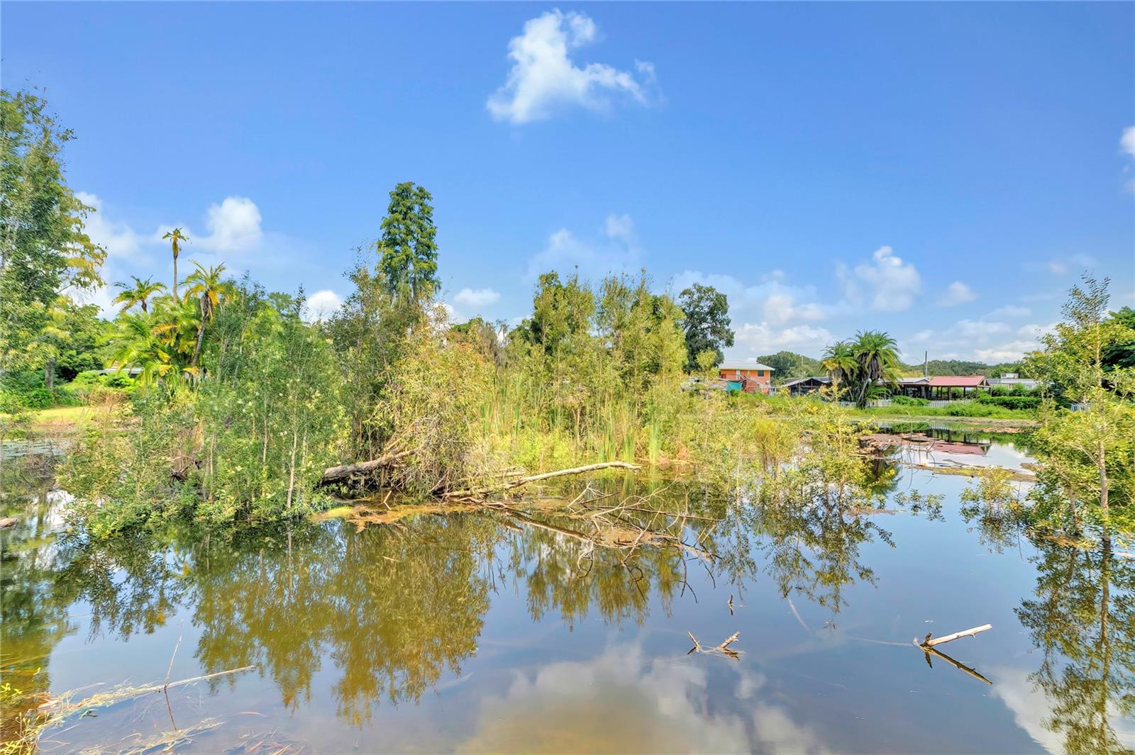 87 1ST AVE NW, LUTZ, FL, 33548