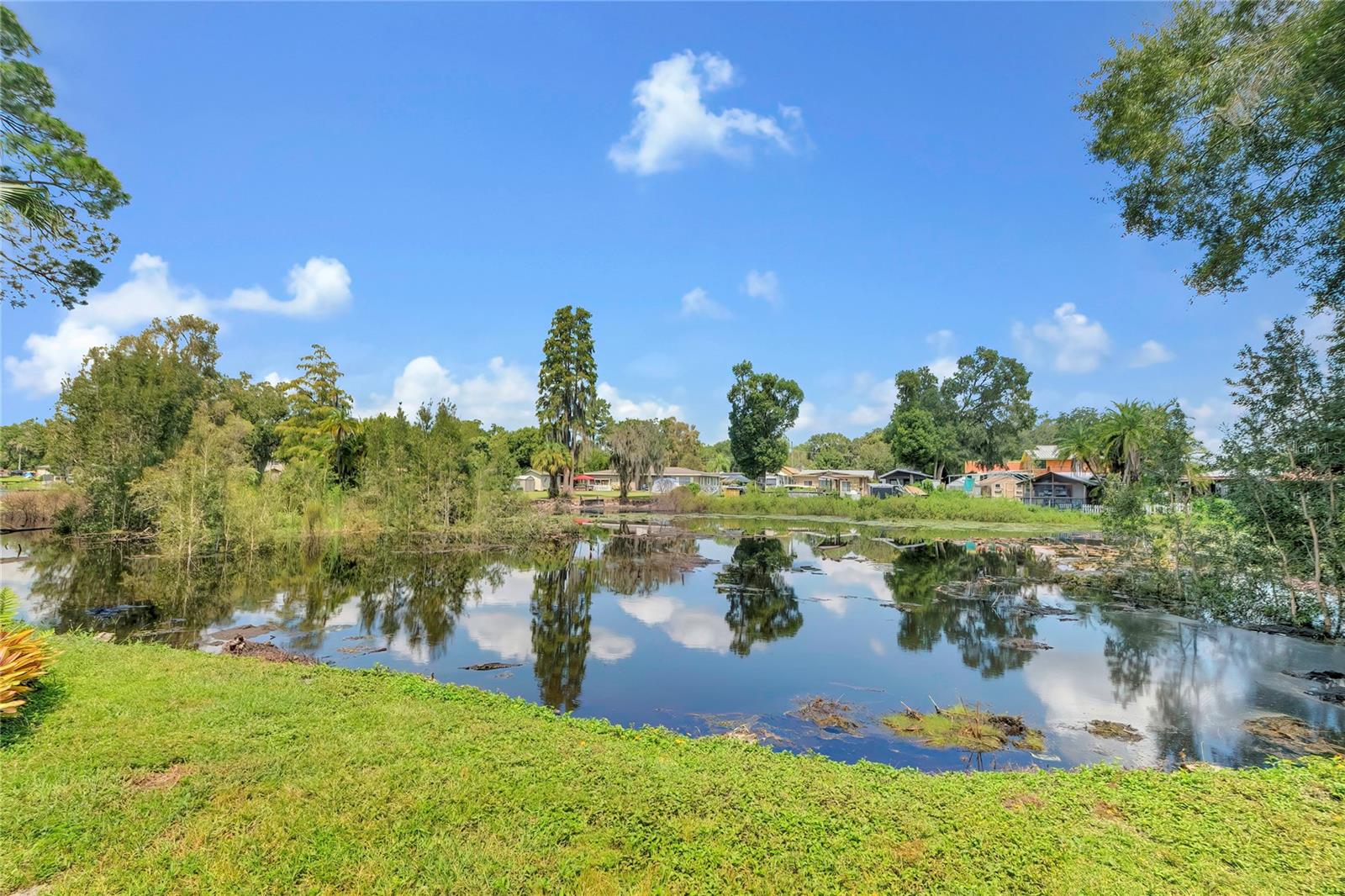 87 1ST AVE NW, LUTZ, FL, 33548