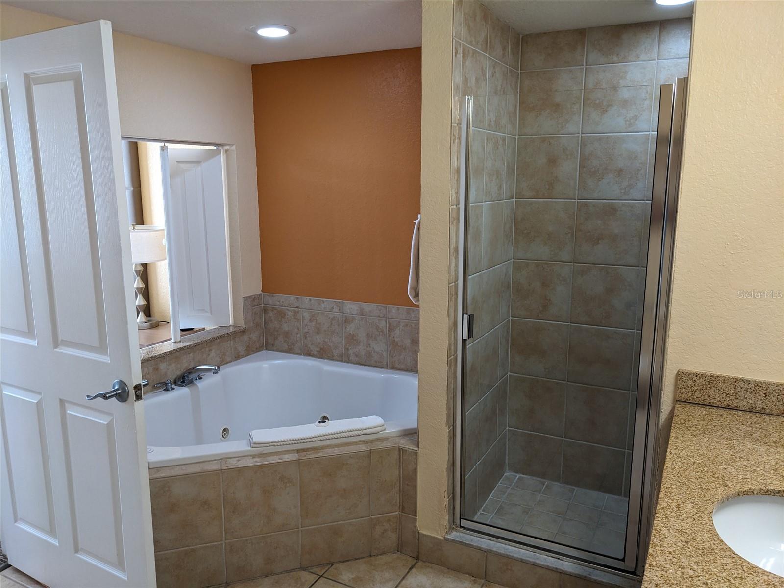 12527 FLORIDAYS RESORT DR #510E, ORLANDO, FL, 32821