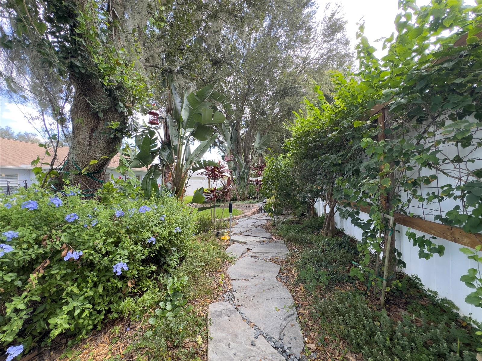 10257 DOVEHILL LN, CLERMONT, FL, 34711