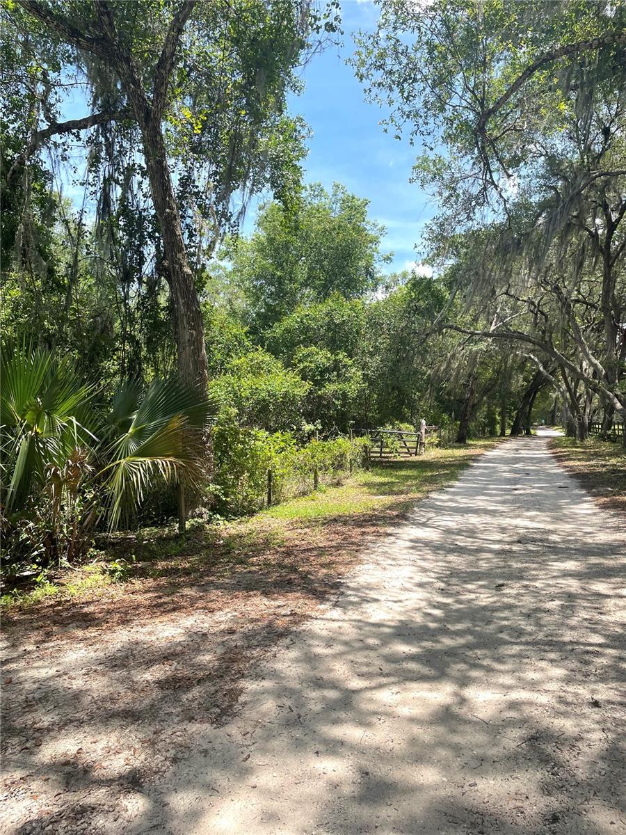 LAKE DIAS CEMETERY RD, DE LEON SPRINGS, FL, 32130