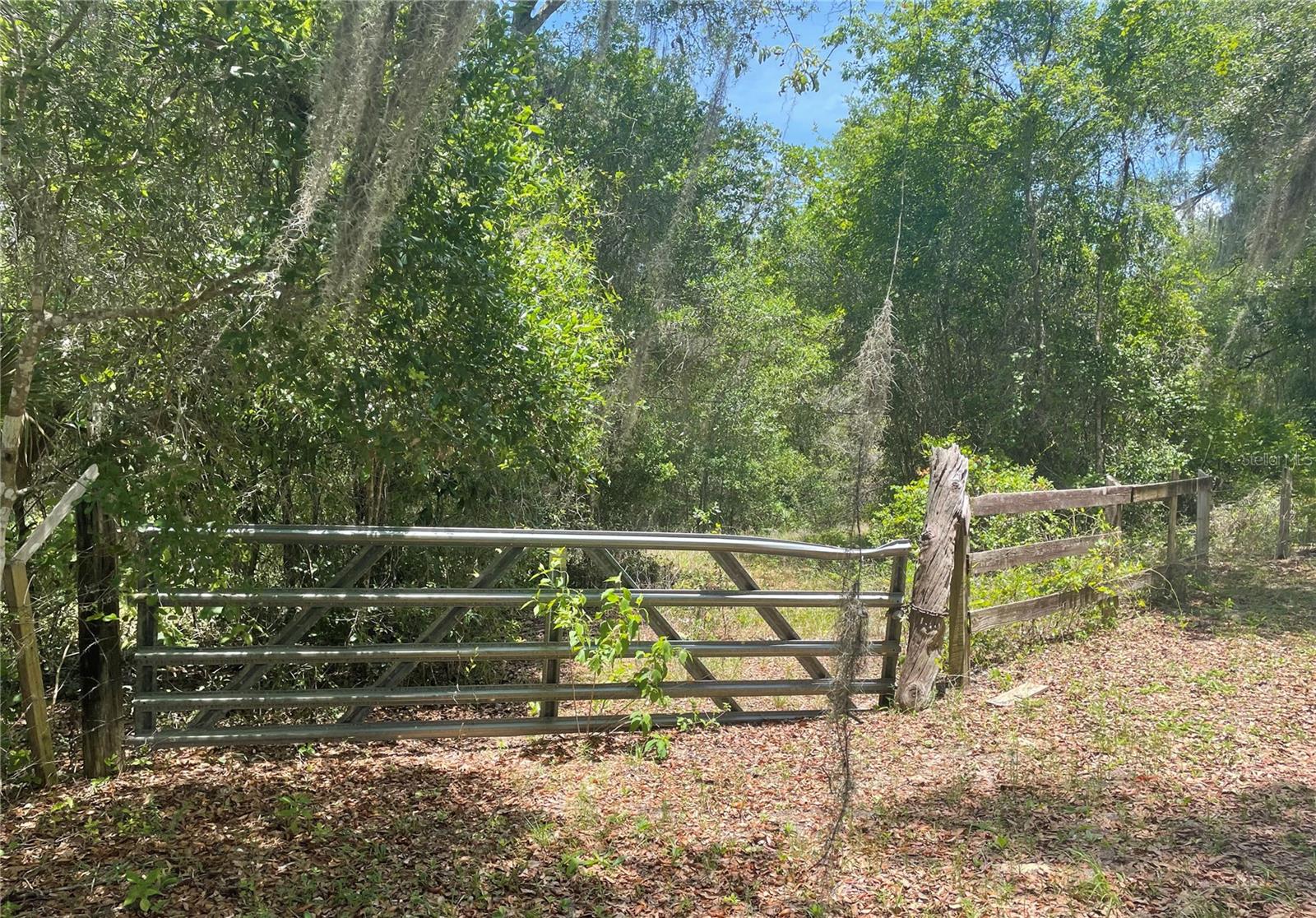 LAKE DIAS CEMETERY RD, DE LEON SPRINGS, FL, 32130