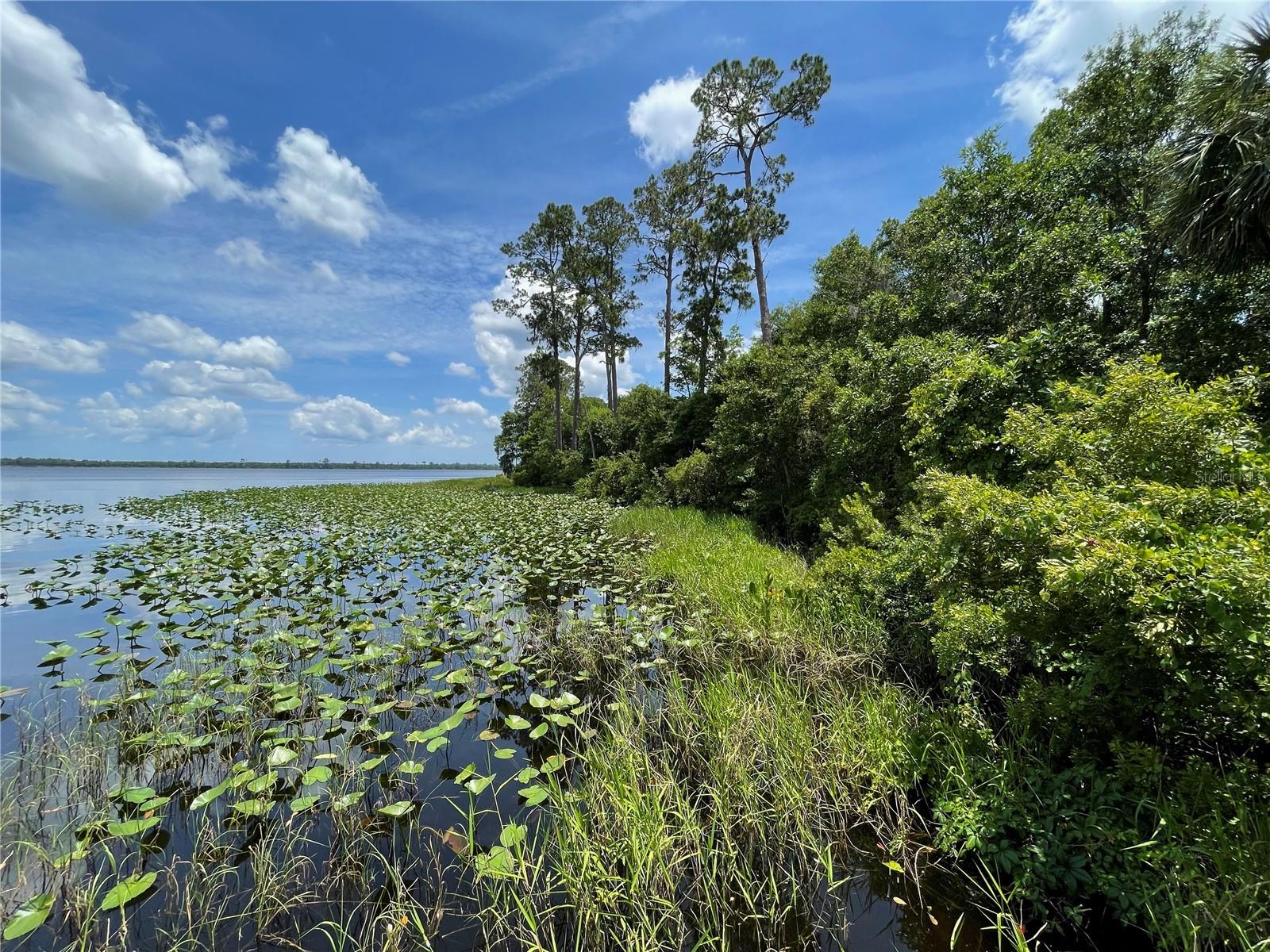 LAKE DIAS CEMETERY RD, DE LEON SPRINGS, FL, 32130