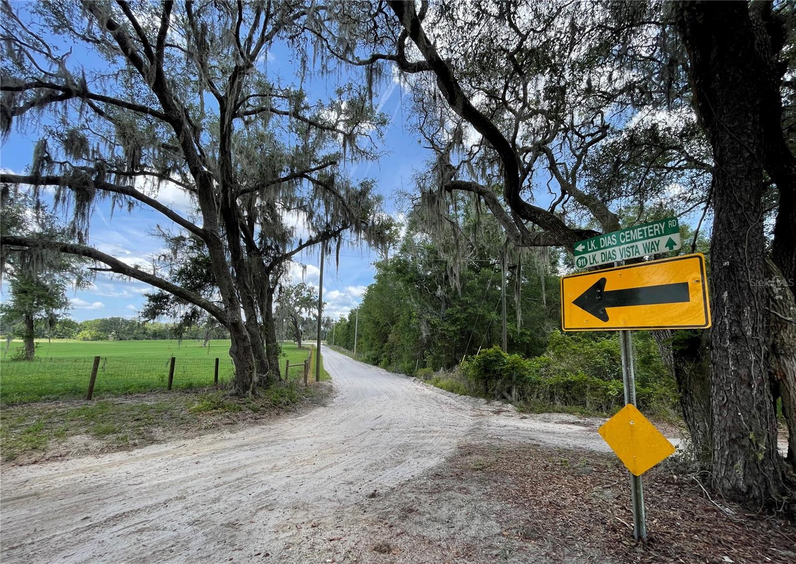 LAKE DIAS CEMETERY RD, DE LEON SPRINGS, FL, 32130