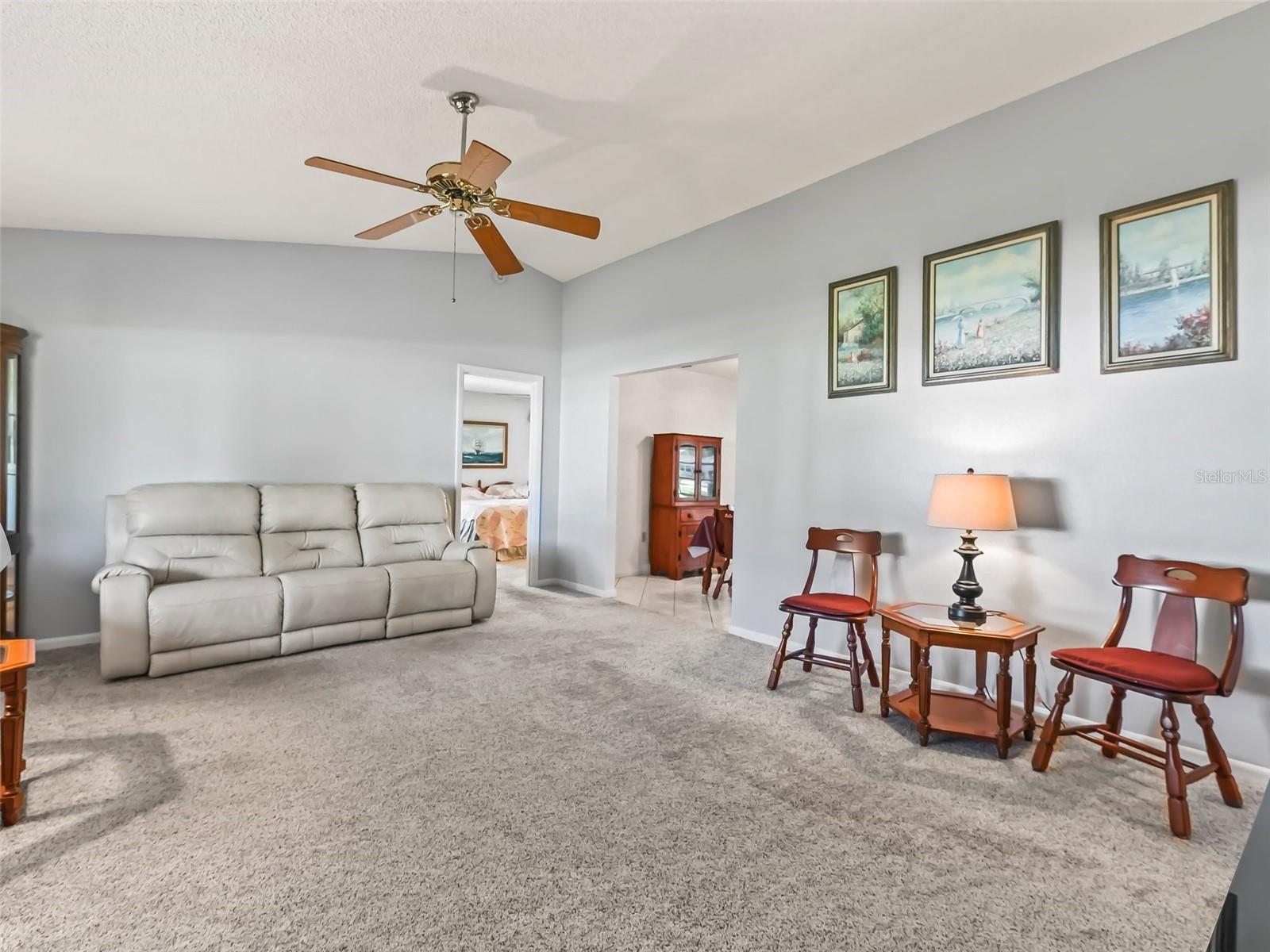 2301 BONNIE VIEW CT, LEESBURG, FL, 34788