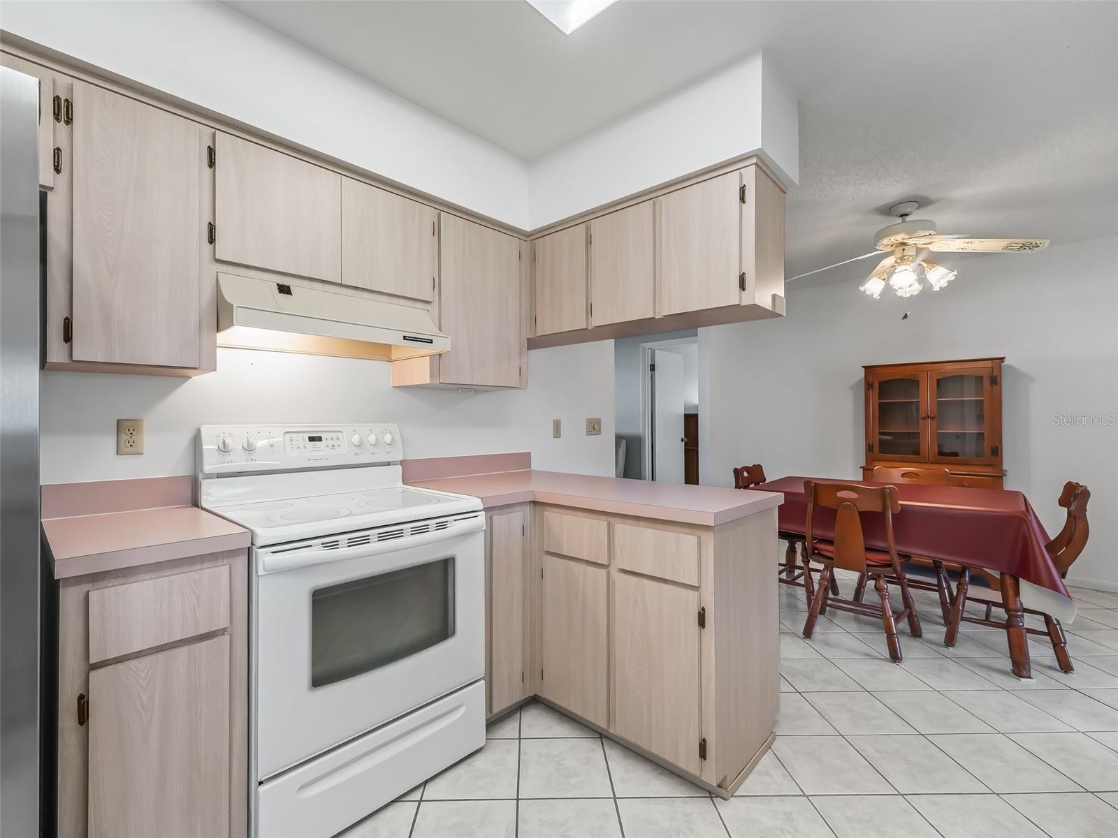2301 BONNIE VIEW CT, LEESBURG, FL, 34788