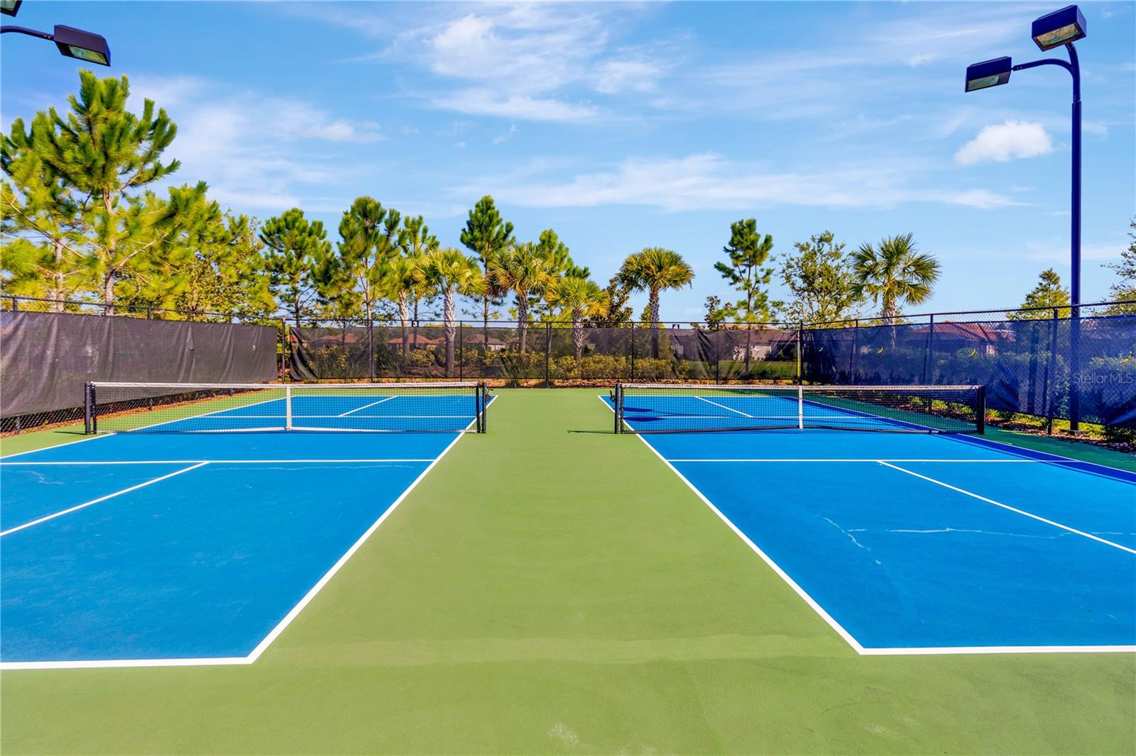 3125 FRANCOA DR, ODESSA, FL, 33556