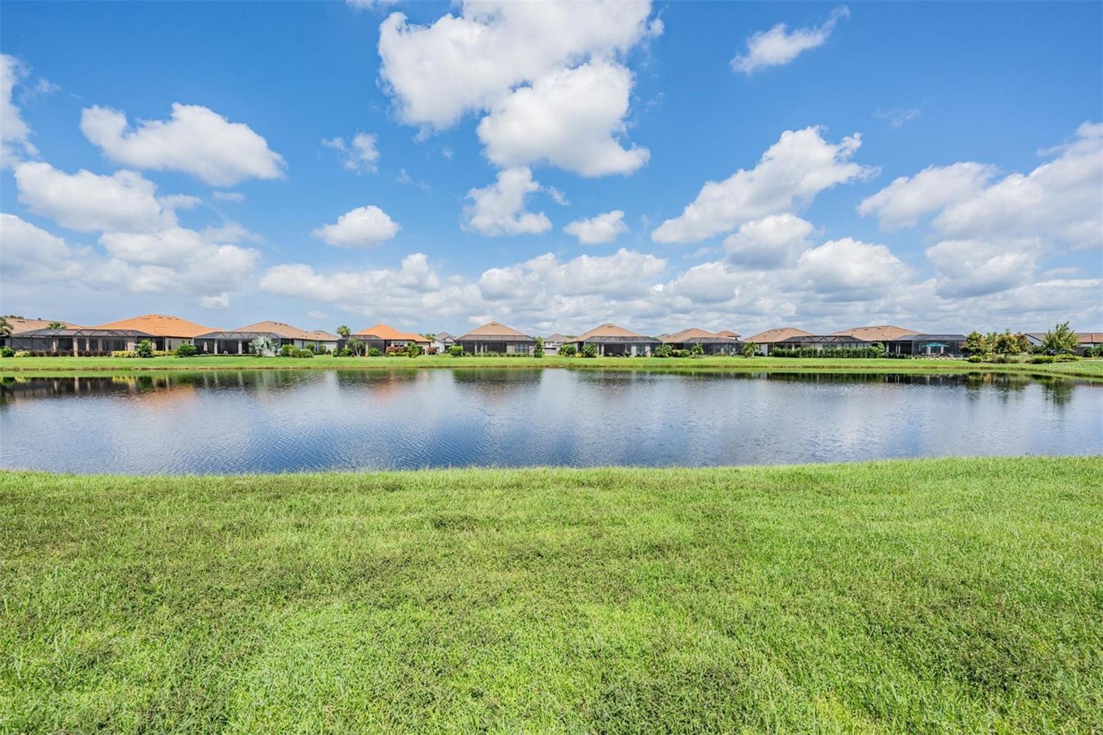 3125 FRANCOA DR, ODESSA, FL, 33556