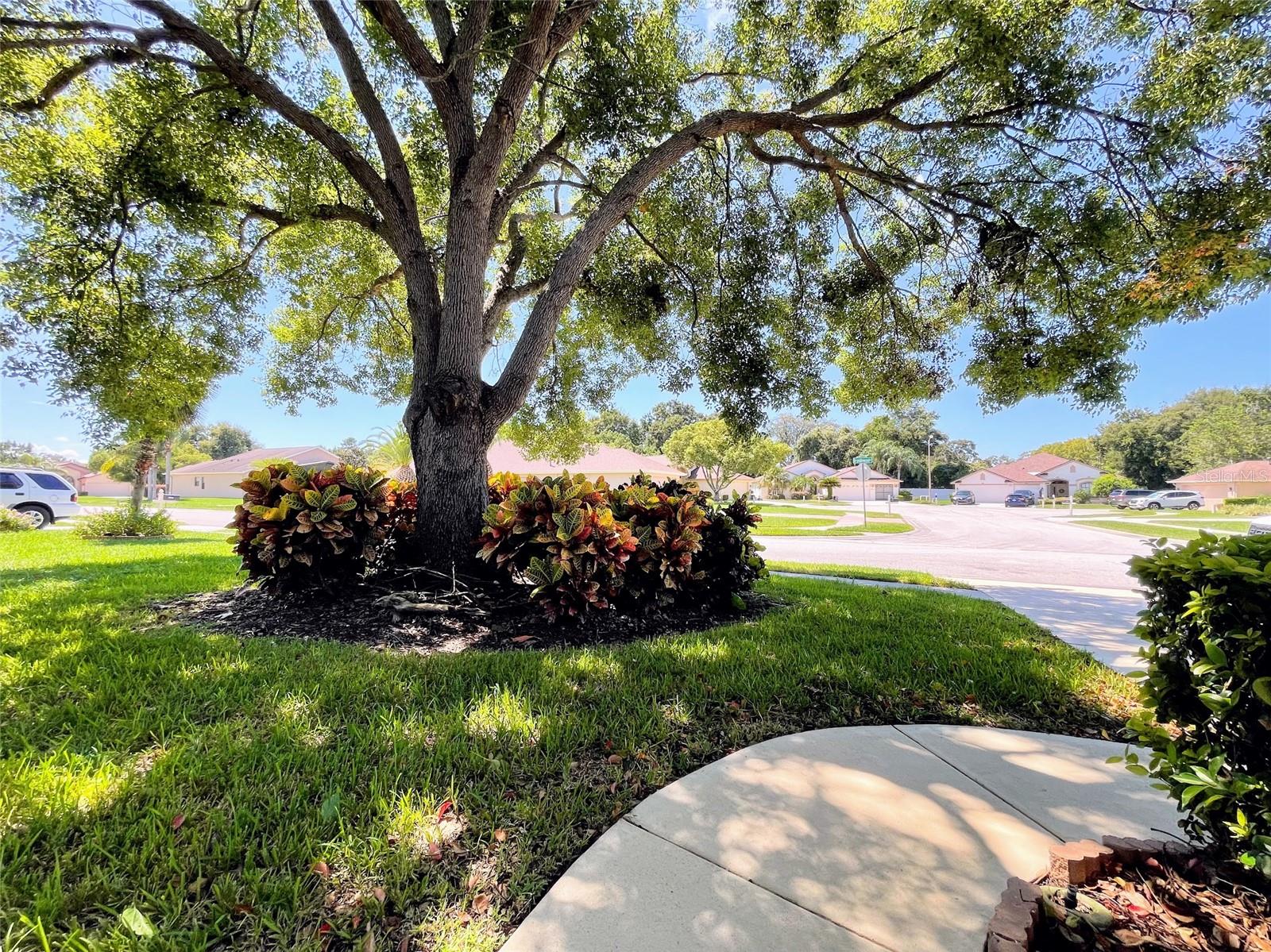 13626 BRYNDLEWOOD CT, HUDSON, FL, 34669