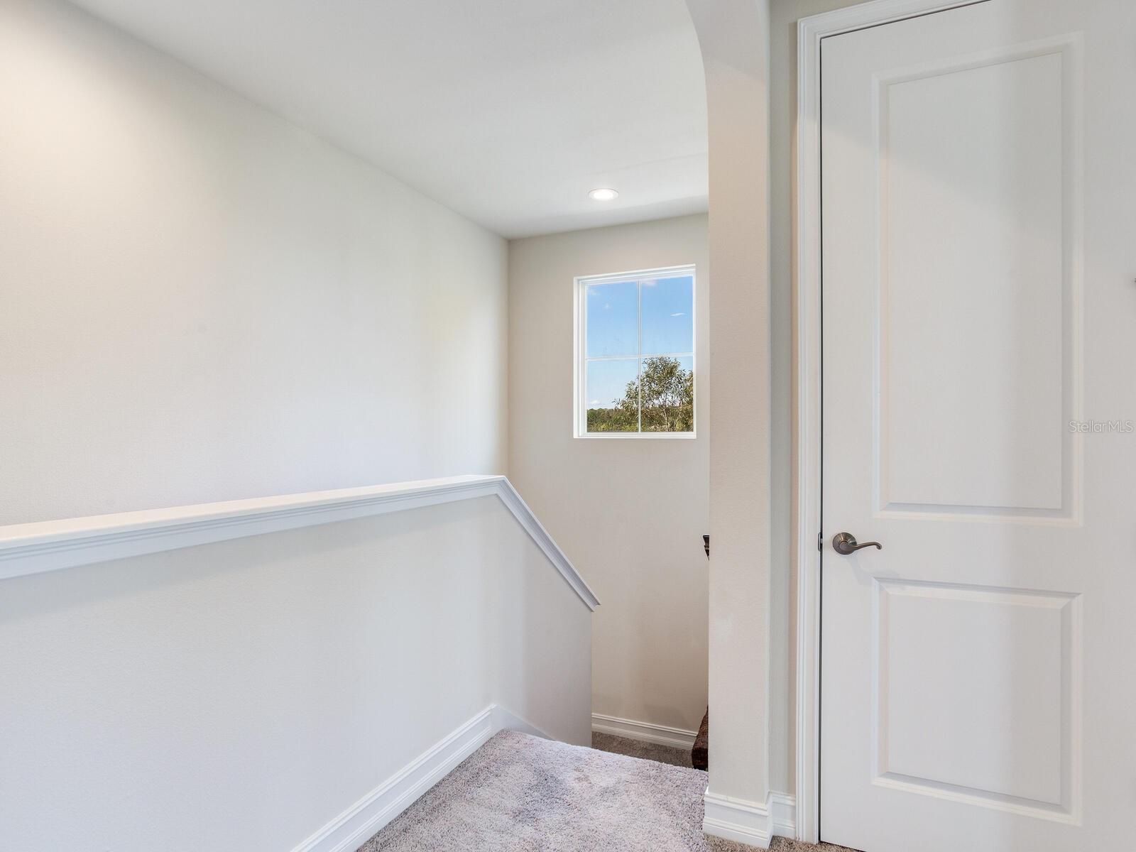 31982 BOURNEVILLE TER, WESLEY CHAPEL, FL, 33543