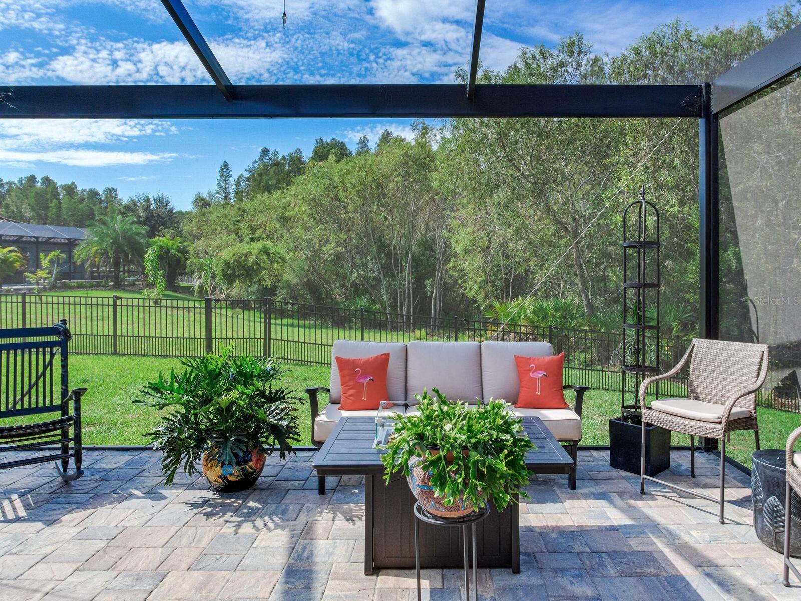 31982 BOURNEVILLE TER, WESLEY CHAPEL, FL, 33543