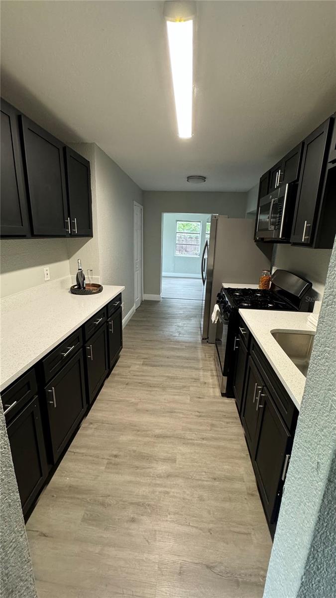 1090 EMERALD DR, MOUNT DORA, FL, 32757