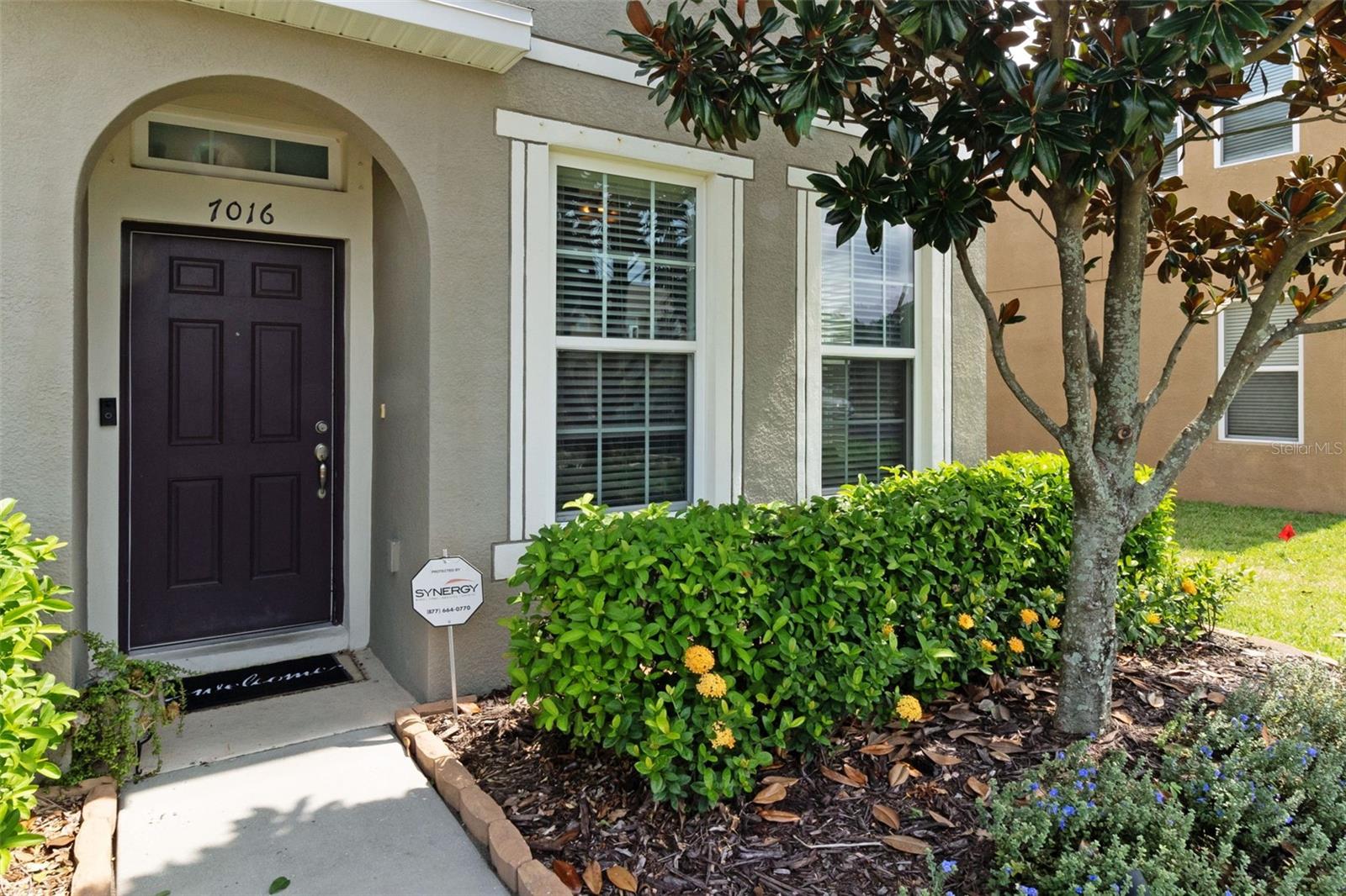 7016 WHITE TREETOP PL, RIVERVIEW, FL, 33578