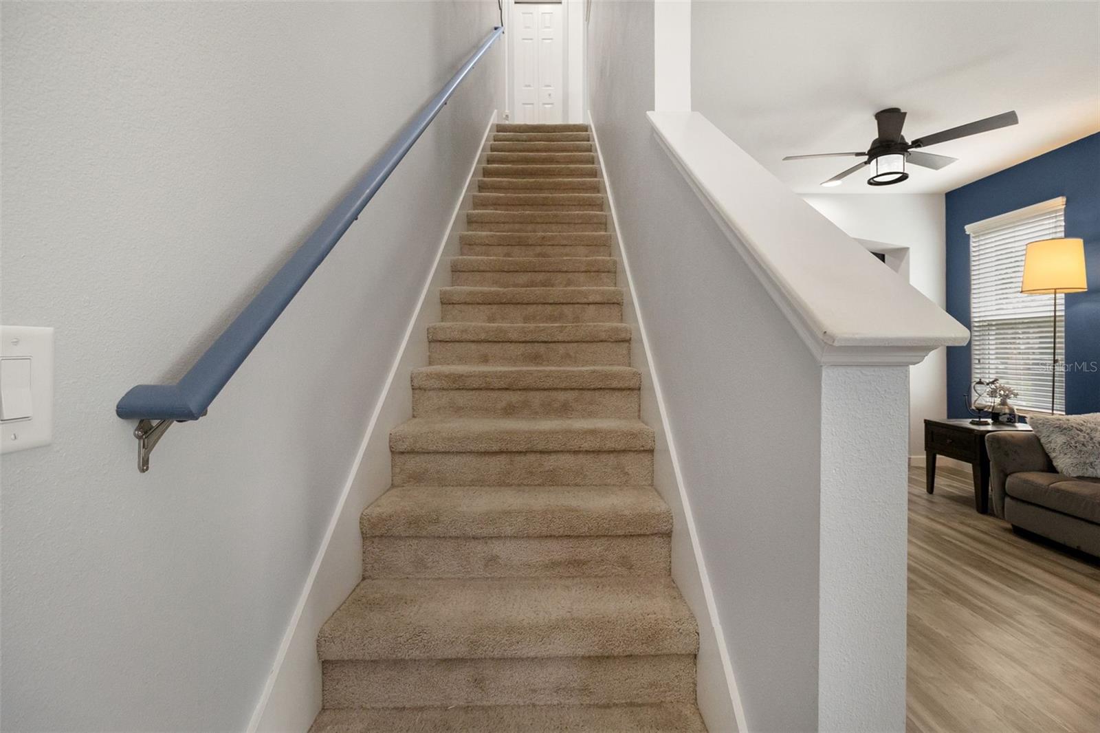 7016 WHITE TREETOP PL, RIVERVIEW, FL, 33578