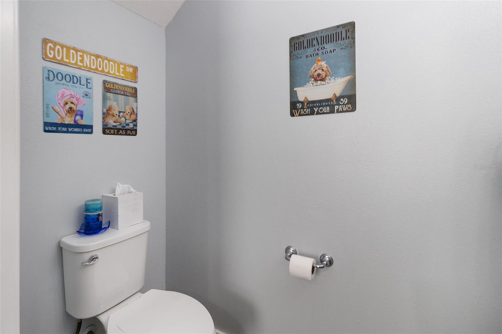 7016 WHITE TREETOP PL, RIVERVIEW, FL, 33578