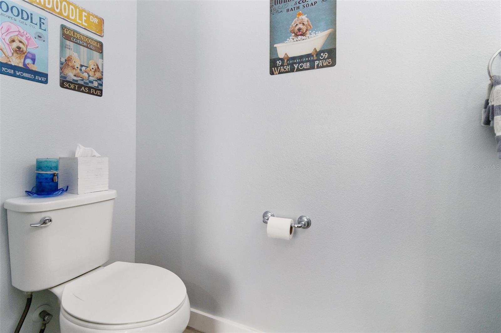 7016 WHITE TREETOP PL, RIVERVIEW, FL, 33578