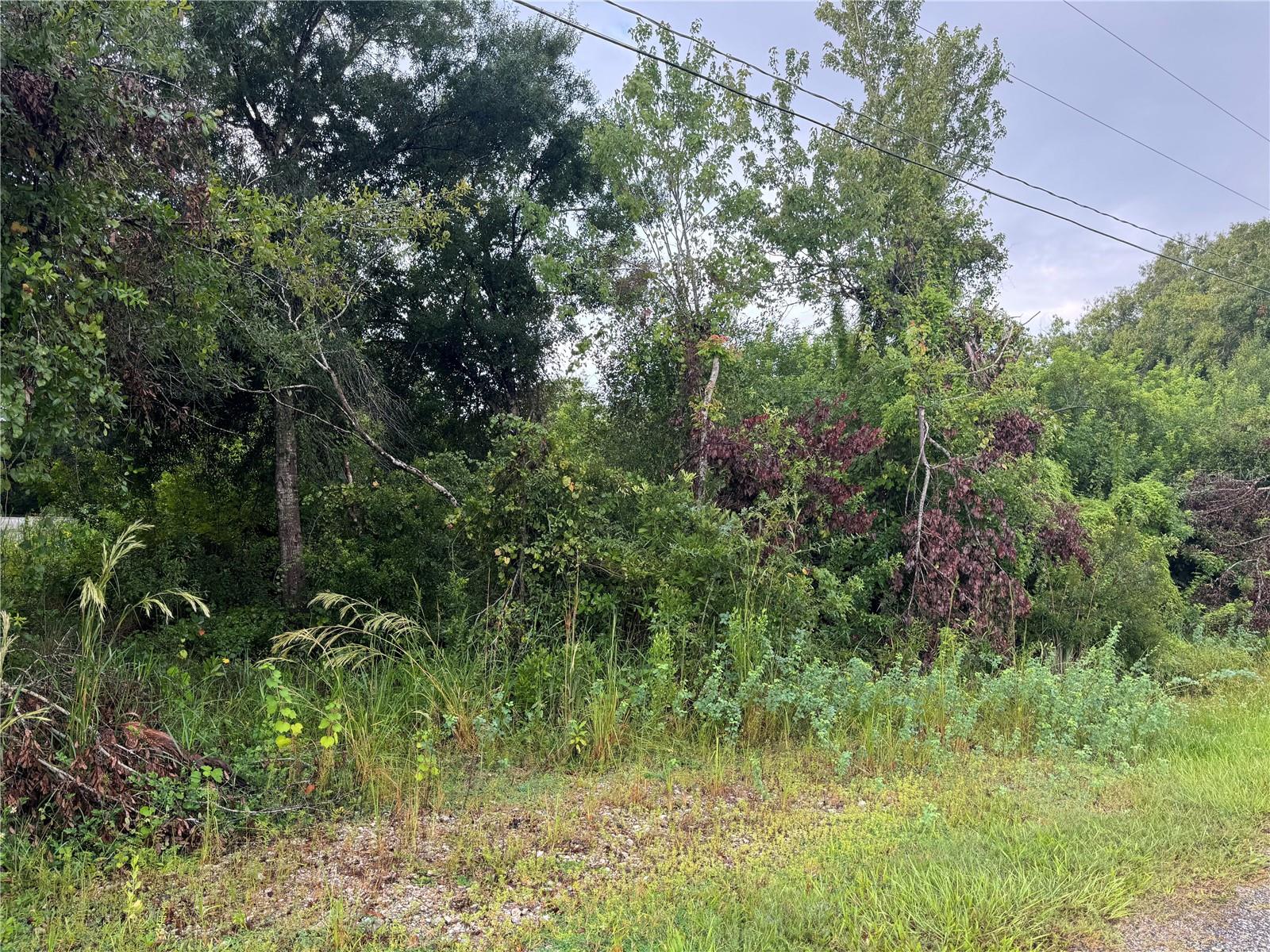 8115 SW NANCY DR, ARCADIA, FL, 34269