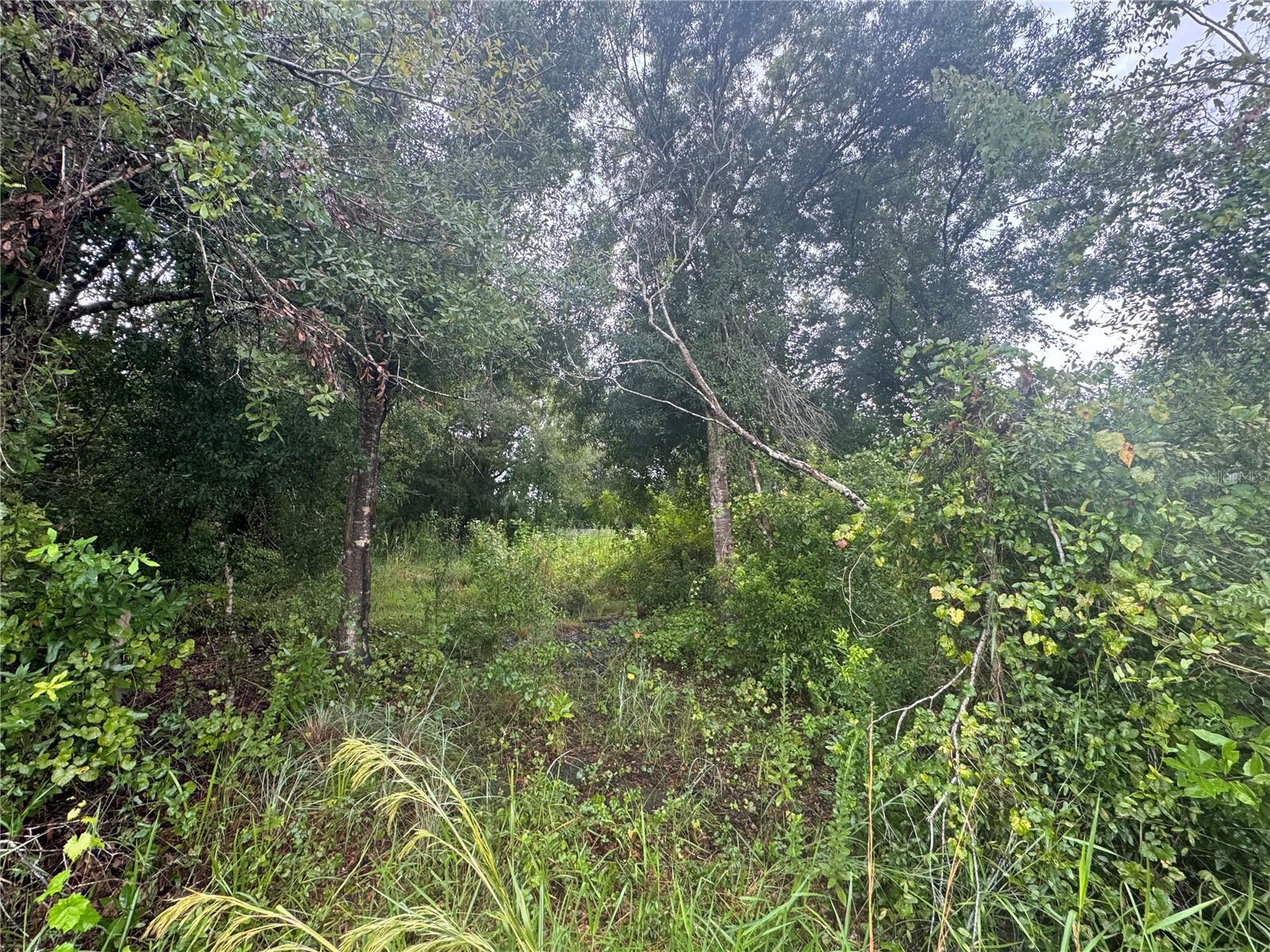 8115 SW NANCY DR, ARCADIA, FL, 34269