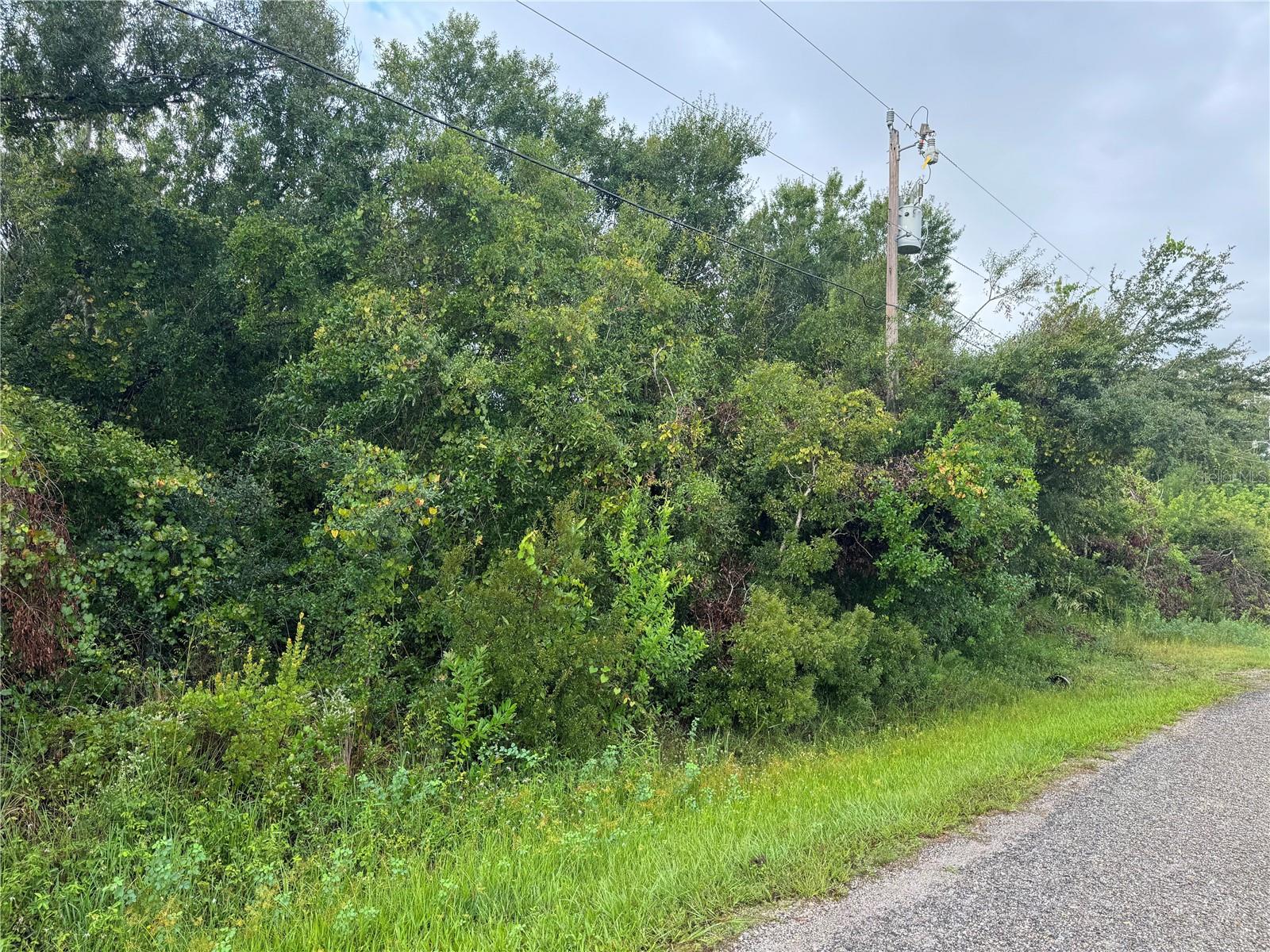 8115 SW NANCY DR, ARCADIA, FL, 34269