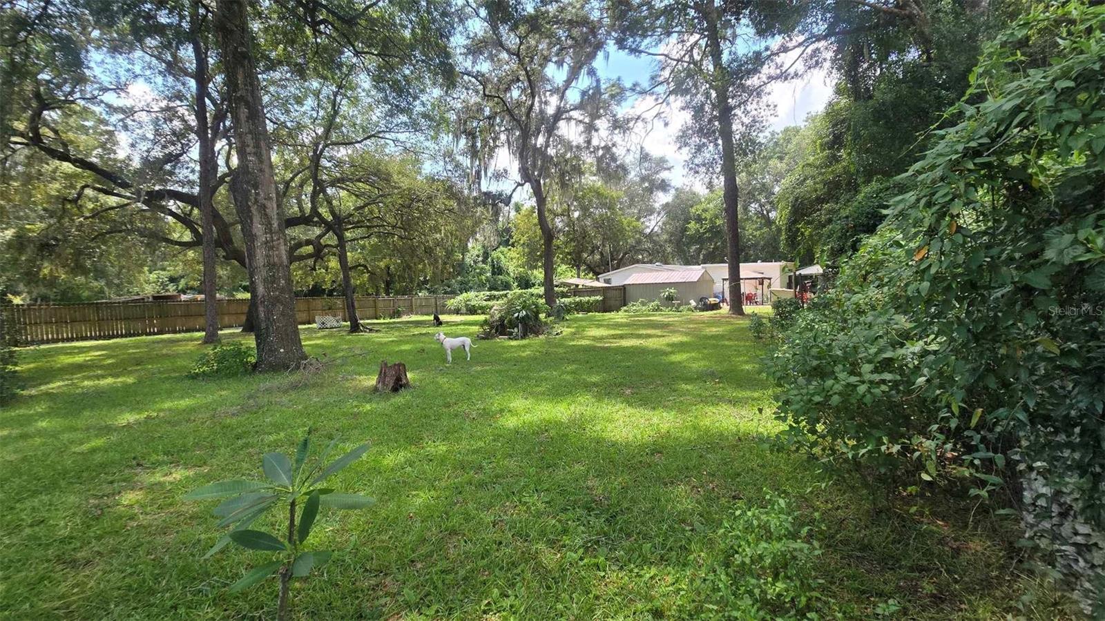 8009 E PEACOCK LN, FLORAL CITY, FL, 34436