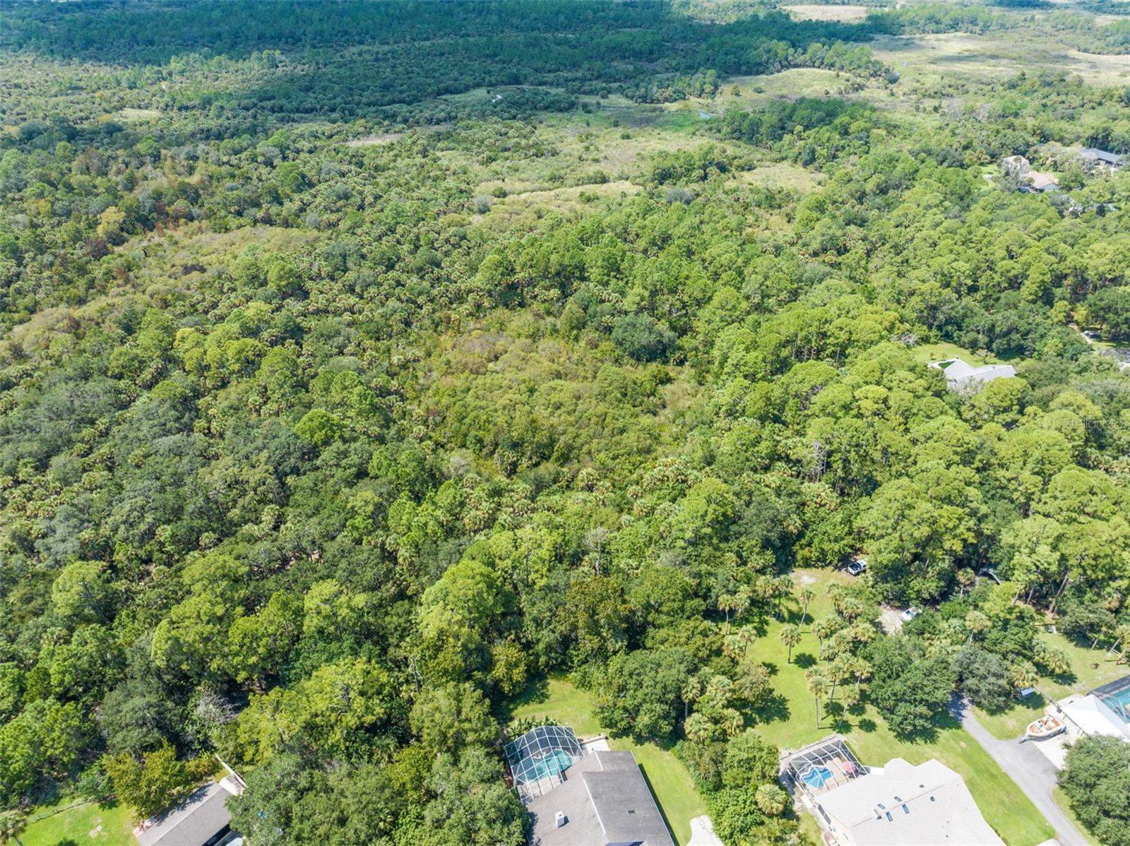 5590 BOB WHITE TRL, MIMS, FL, 32754