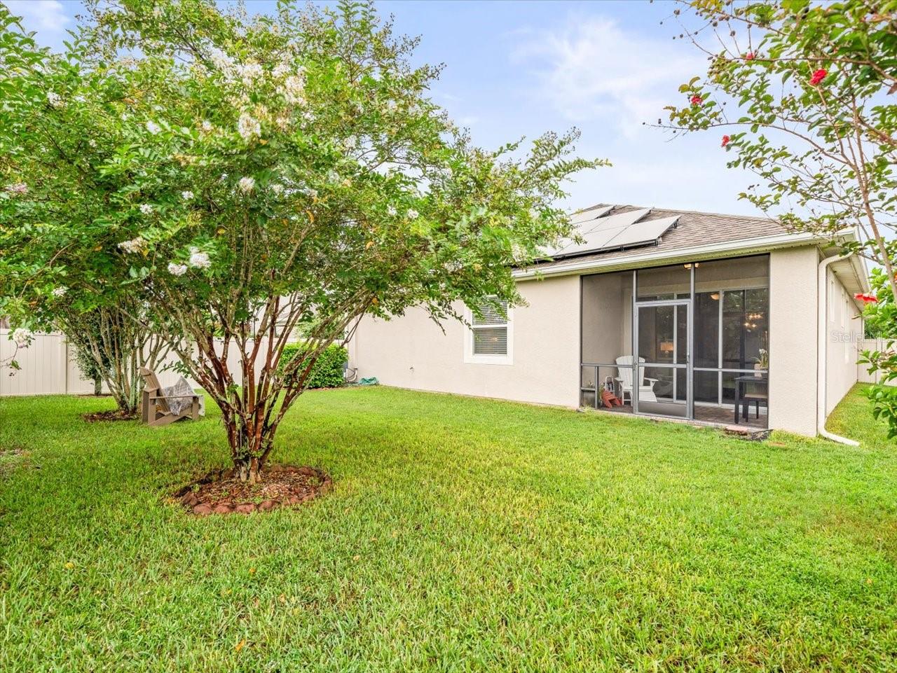 1100 MULTIFLORA LOOP, LUTZ, FL, 33558