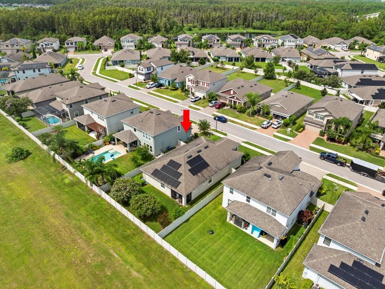 1100 MULTIFLORA LOOP, LUTZ, FL, 33558