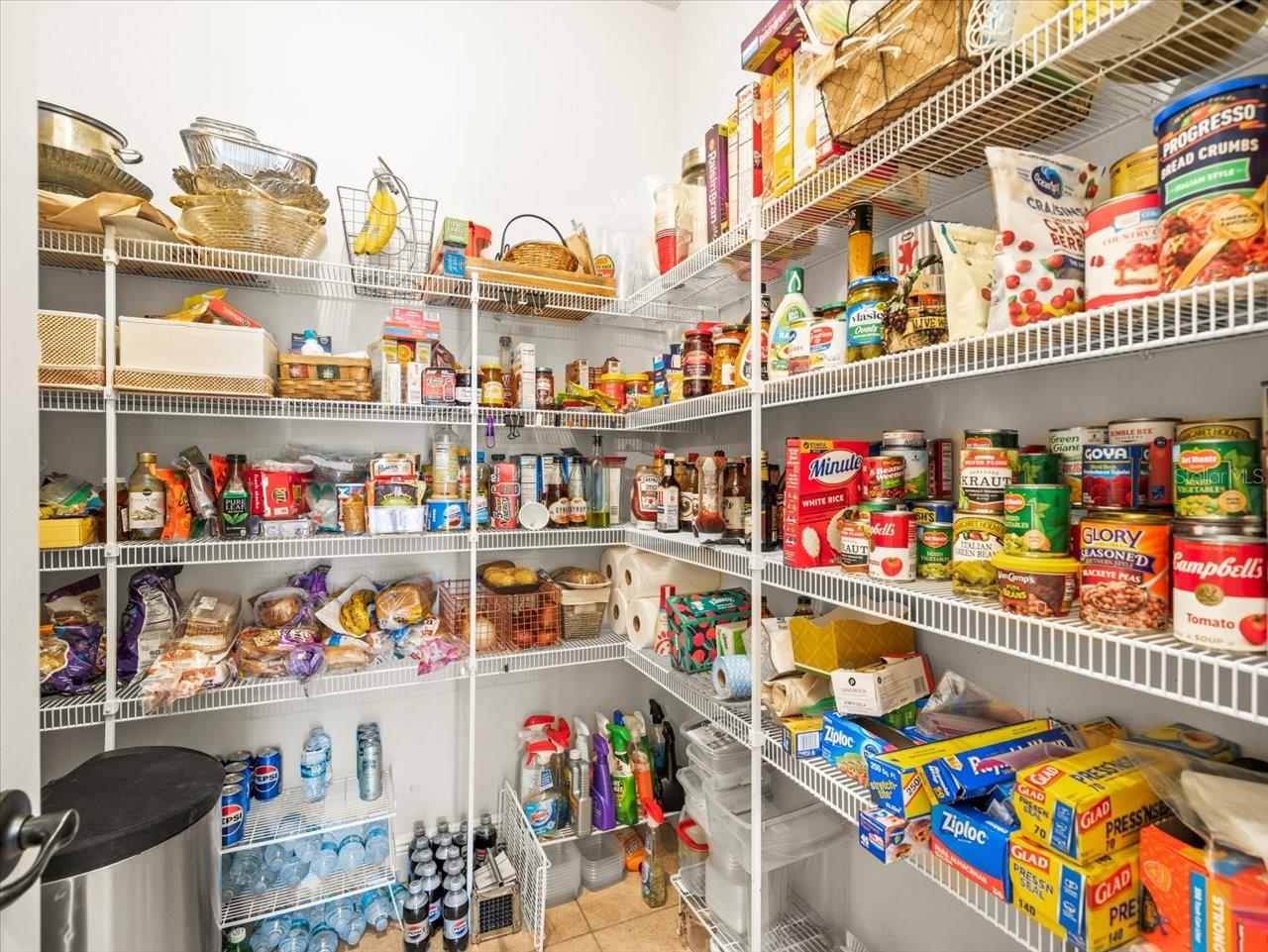1100 MULTIFLORA LOOP, LUTZ, FL, 33558