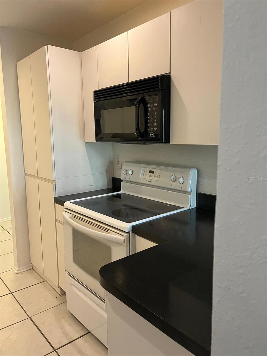 7505 DOLONITA DR #750, TAMPA, FL, 33615