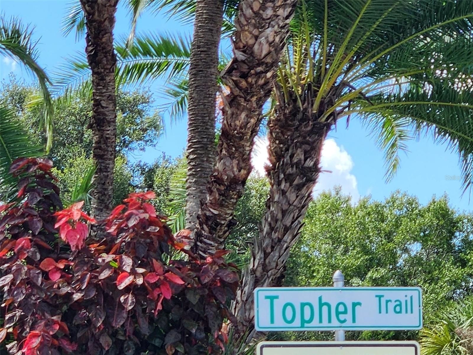 6128 TOPHER TRL #6128, MULBERRY, FL, 33860