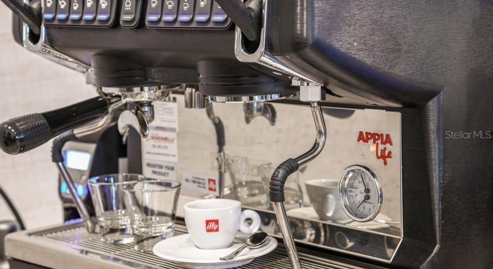 4504 ISONZO WAY, WESLEY CHAPEL, FL, 33543