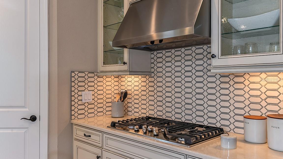 4504 ISONZO WAY, WESLEY CHAPEL, FL, 33543