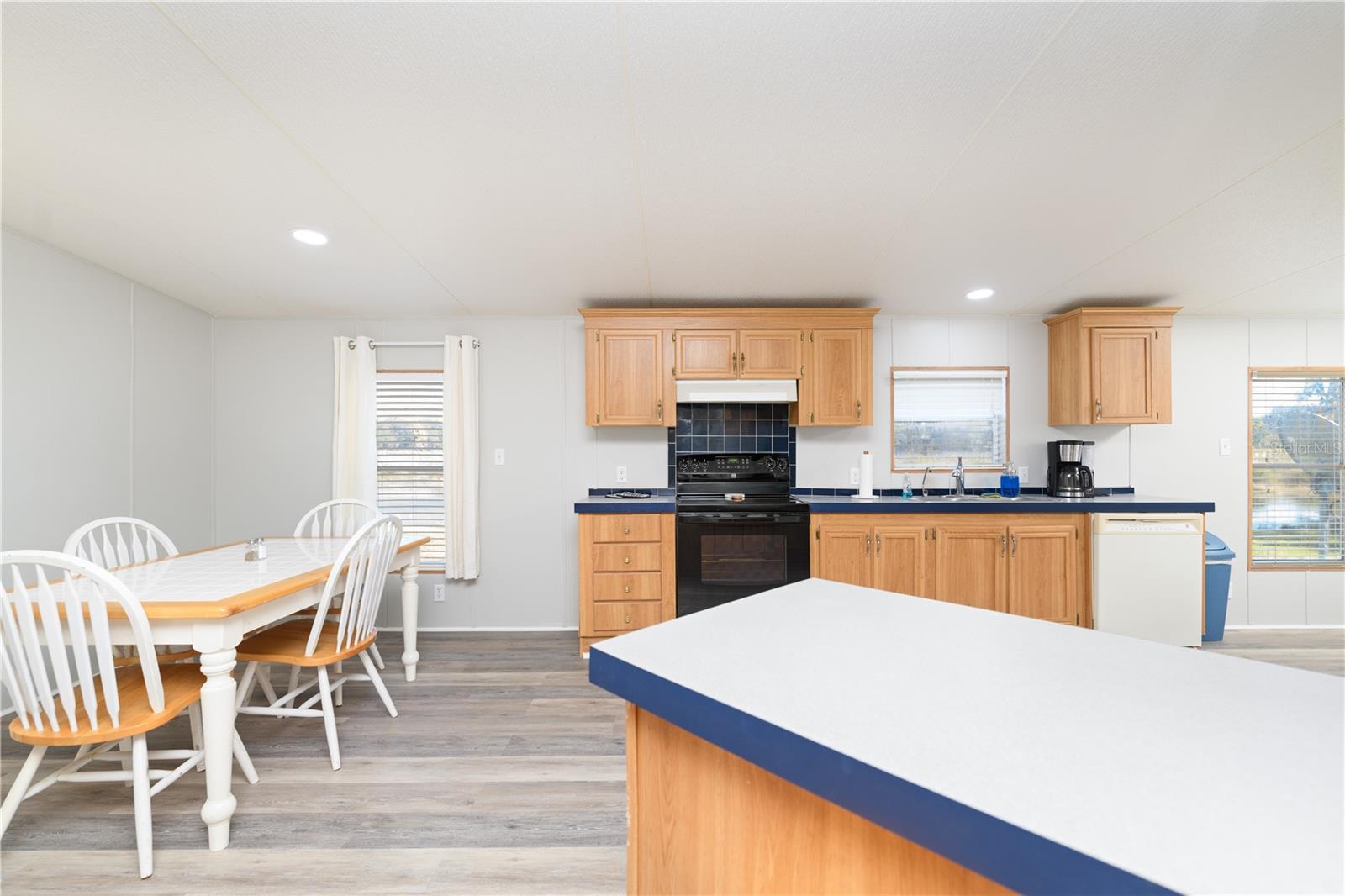 6031 N MALLARD DR, HERNANDO, FL, 34442