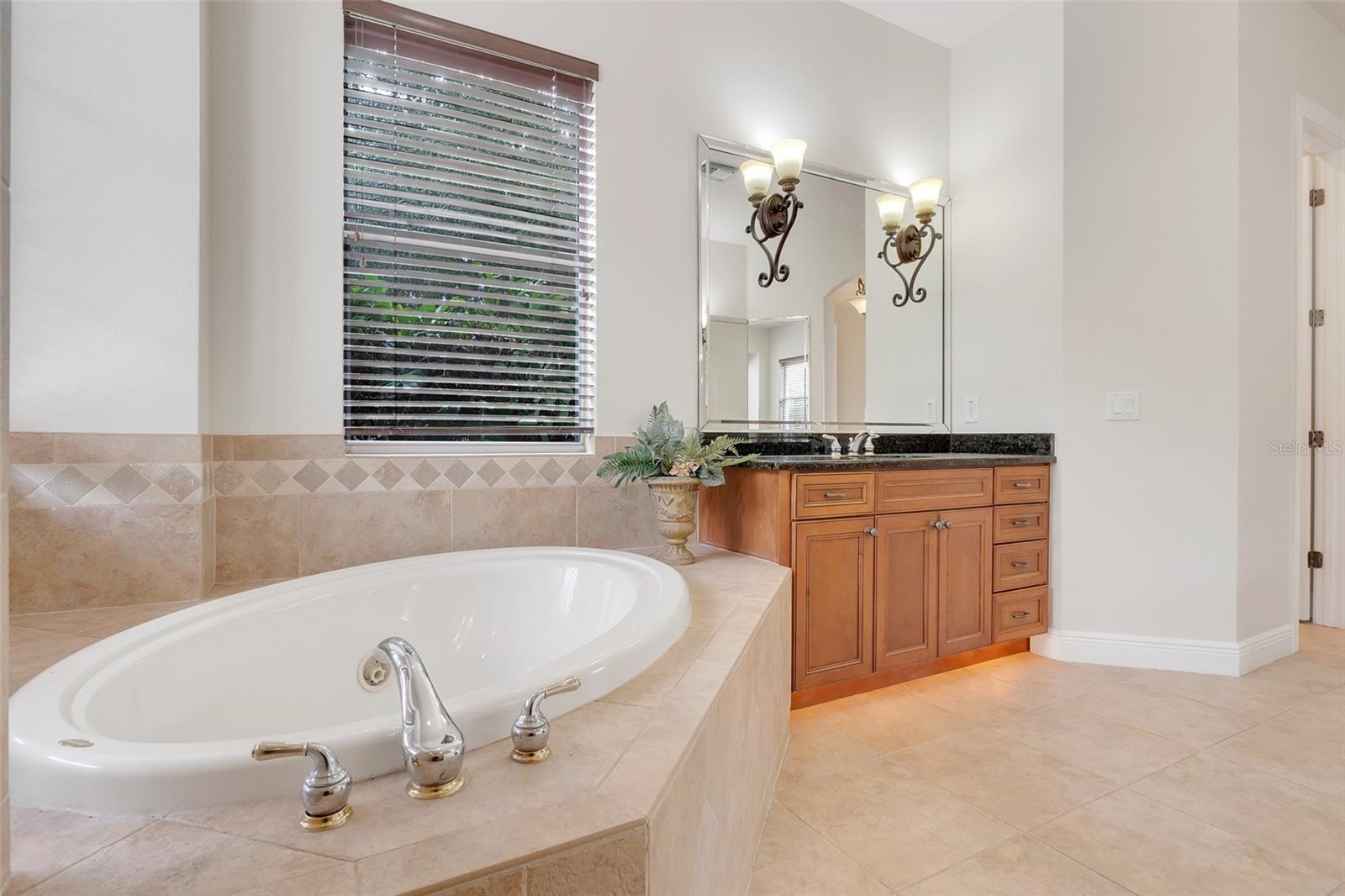 9106 PANZANI PL, WINDERMERE, FL, 34786