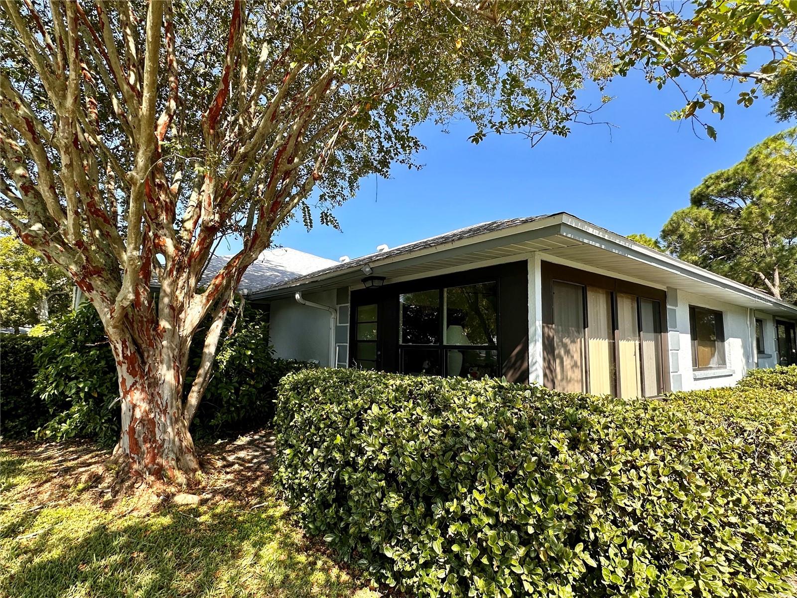 2753 COUNTRYSIDE BLVD #105, CLEARWATER, FL, 33761