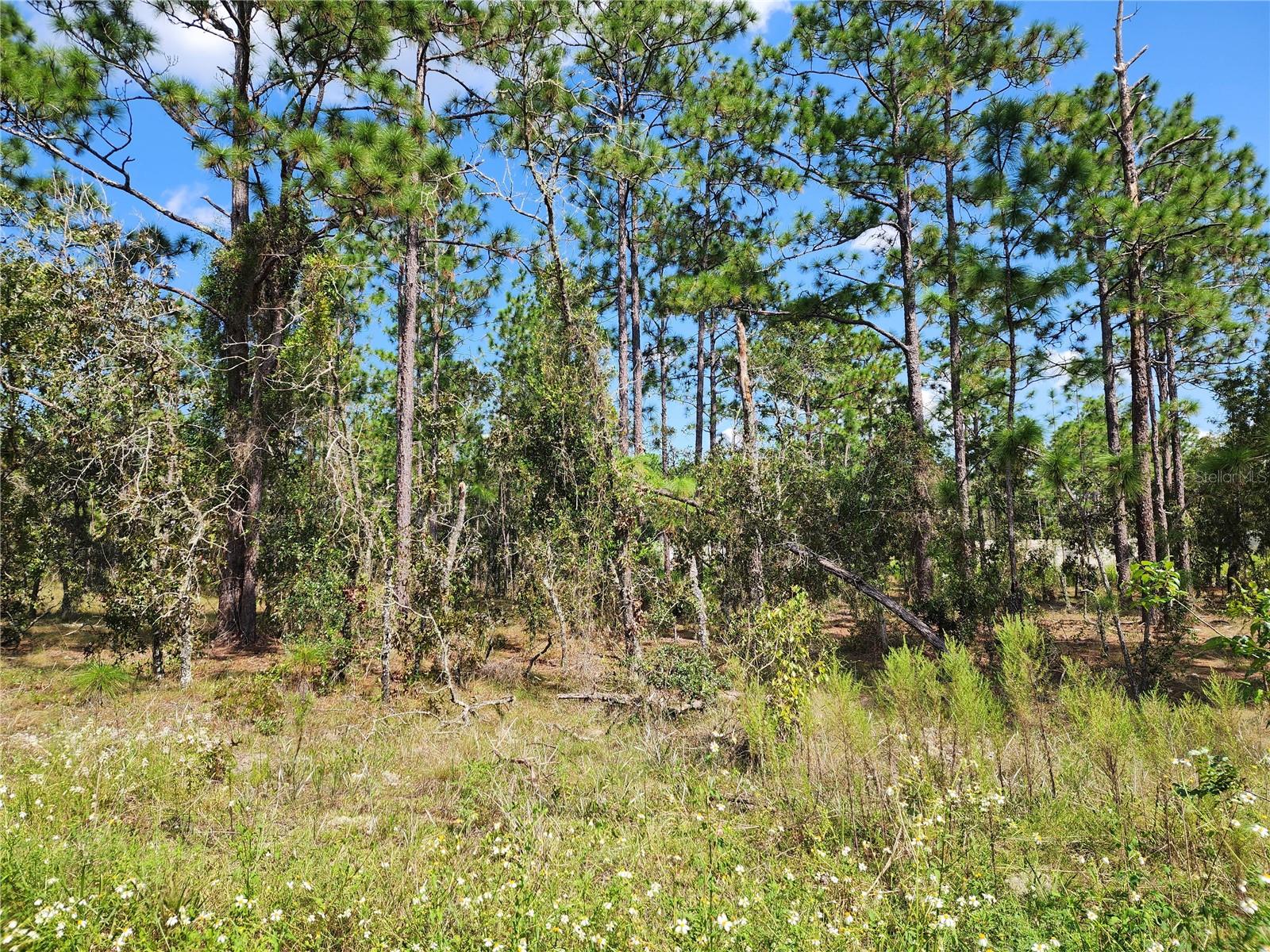 TBD SW RIDGEWOOD RD, DUNNELLON, FL, 34431