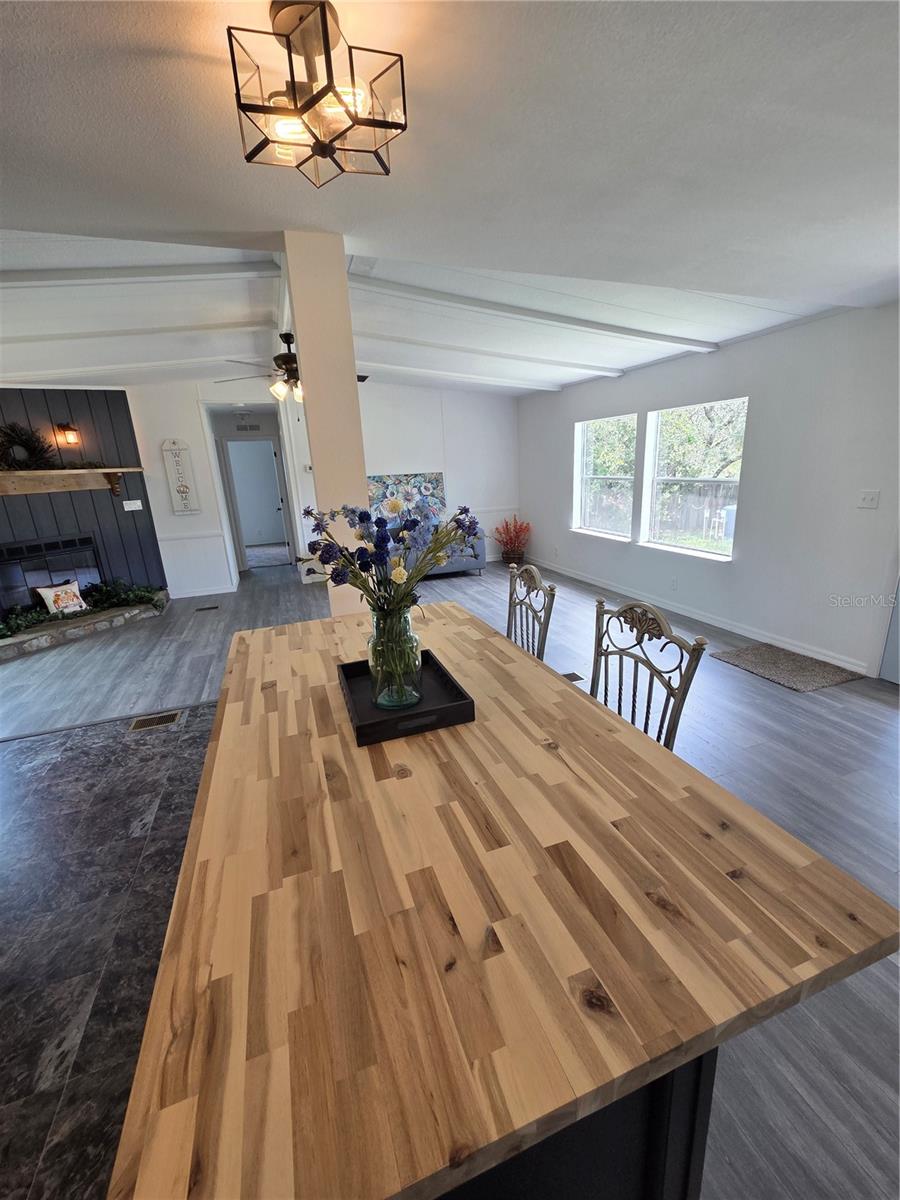 47807 STATE ROAD 19, ALTOONA, FL, 32702